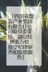四川省煤炭产业集团有限责任公司原党委委员、副总经理张万松 接受纪律审查和监察调查